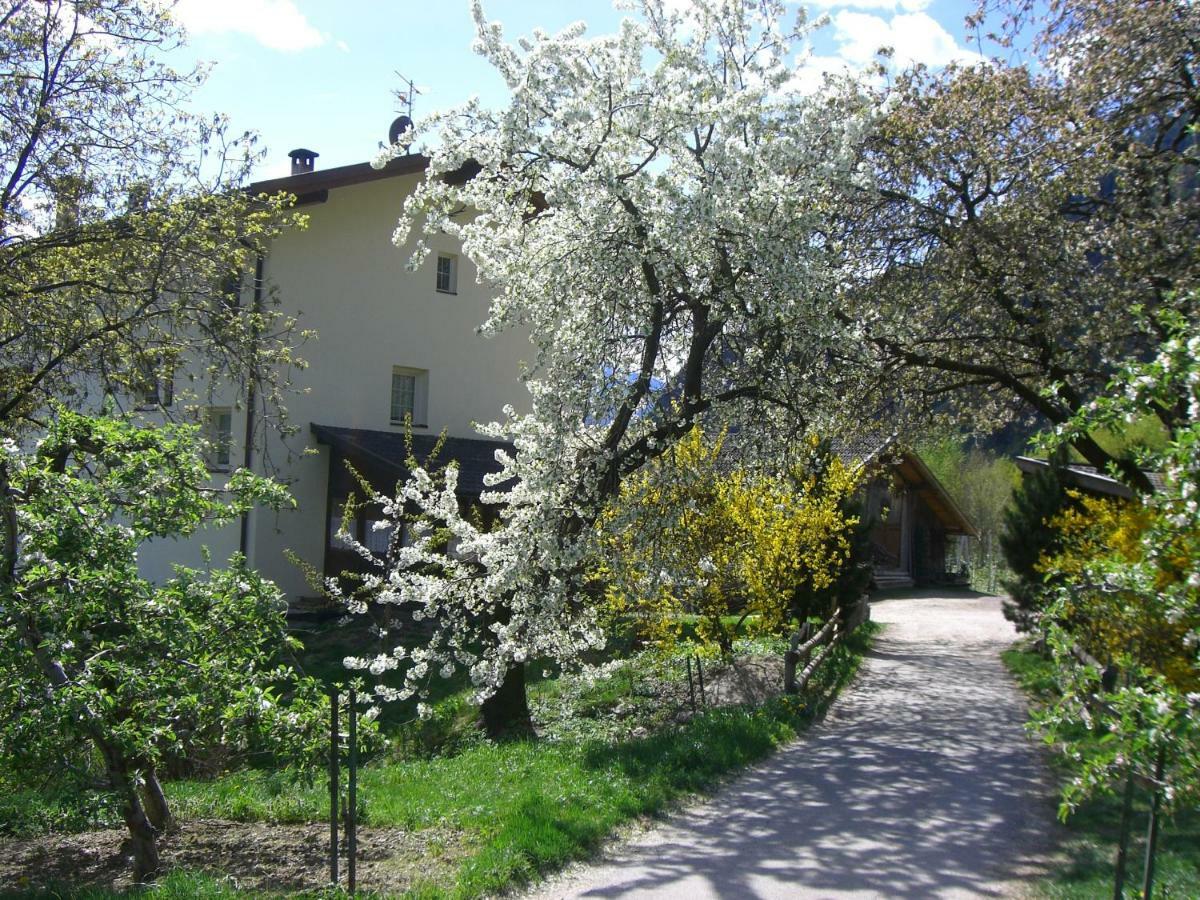 Mareinhof - Urlaub Auf Dem Apfelbauernhof Apartment Parcines Bagian luar foto