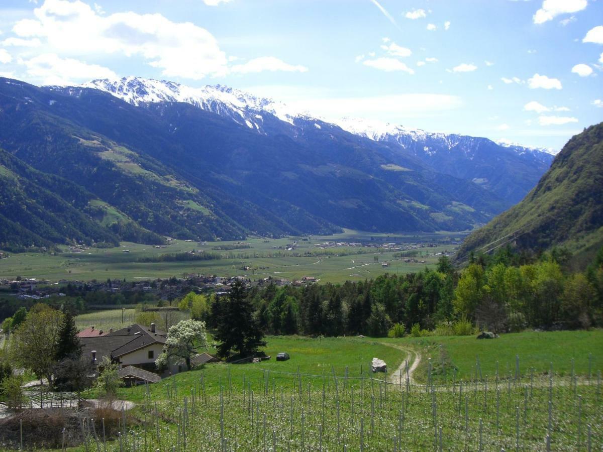 Mareinhof - Urlaub Auf Dem Apfelbauernhof Apartment Parcines Bagian luar foto